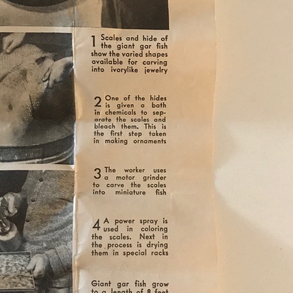 Fish Scale Brooch - Picture 10 of 11